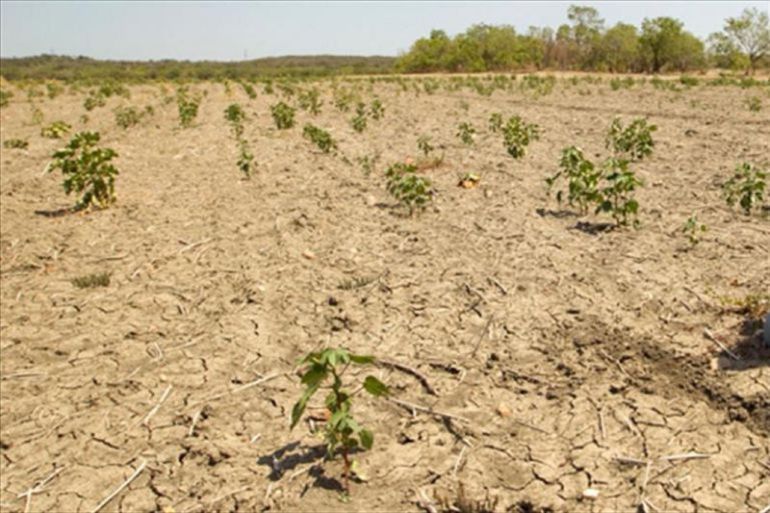 UN FEBRERO TRISTE EN TEMASCALTEPEC, ESTADO DE MÉXICO