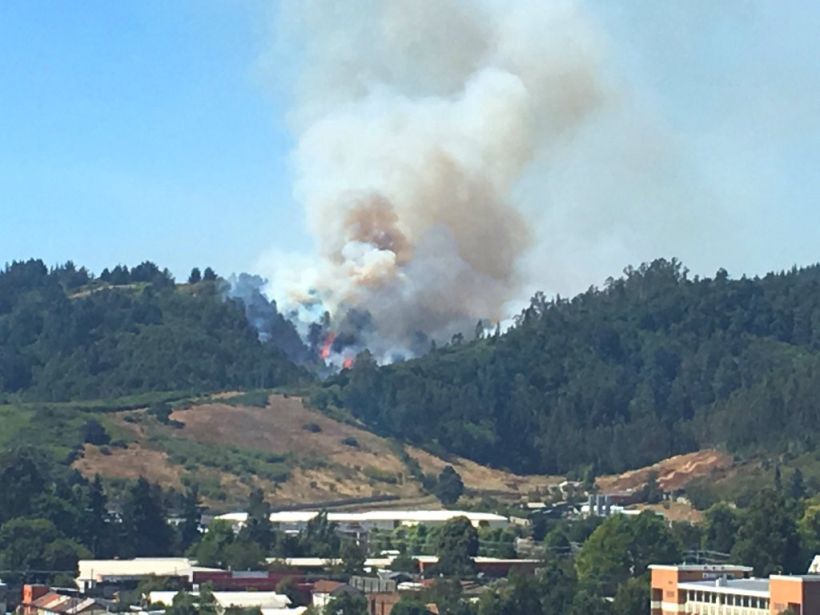 INCENDIOS FORESTALES AVANZAN 